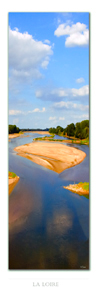 Photo de la loire: Banc de sable